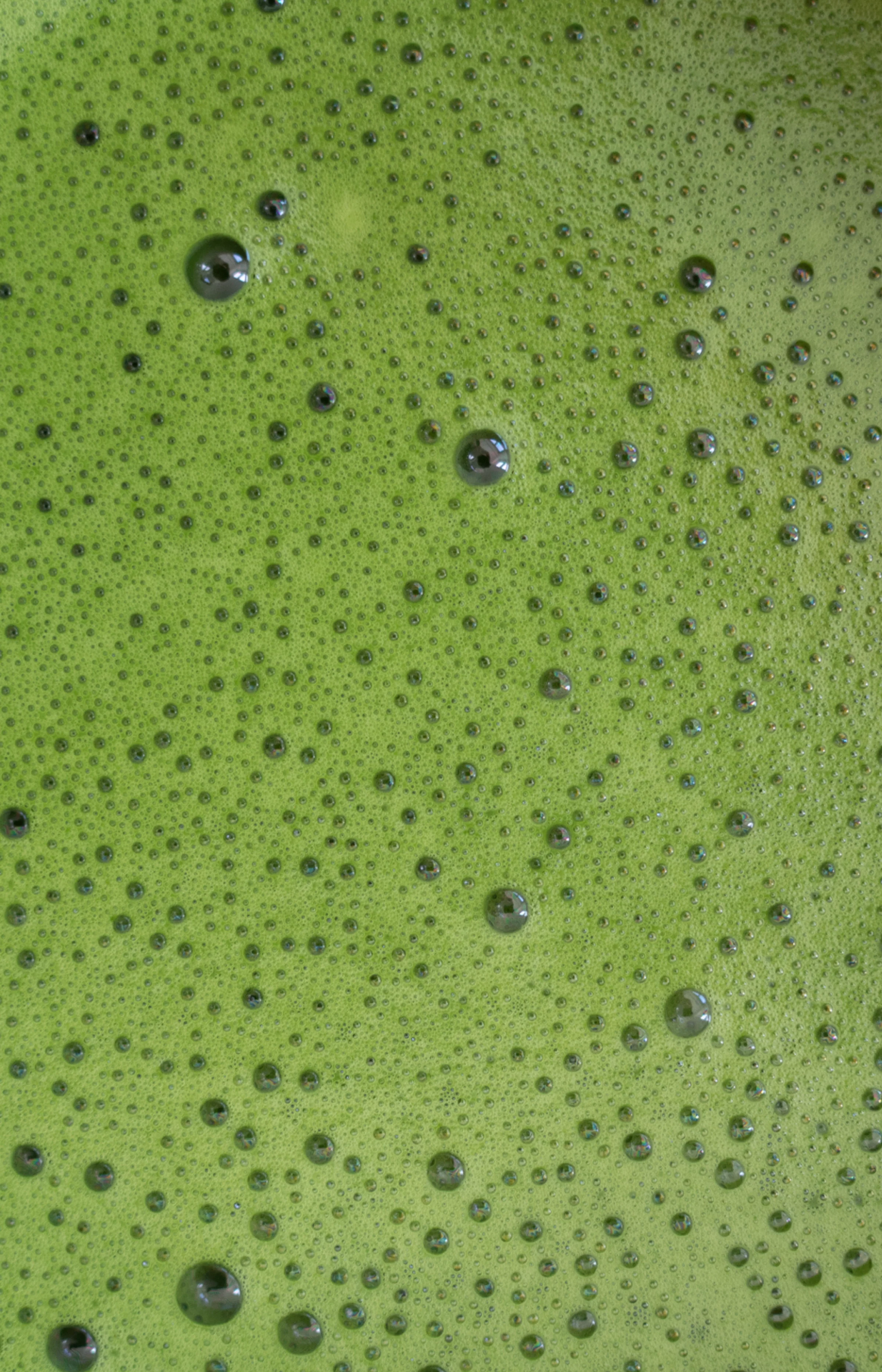Matcha sæt - Image 4