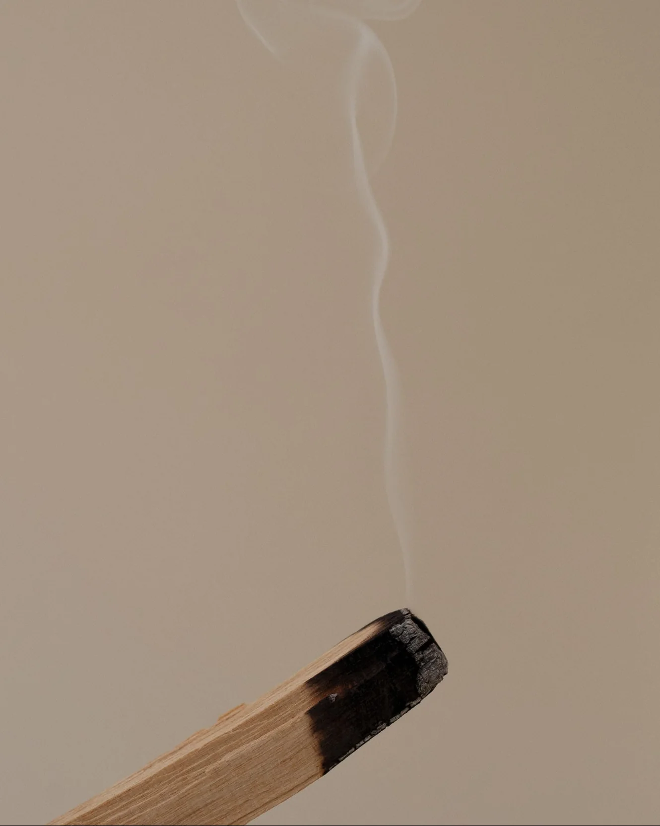 Palo Santo - Image 4